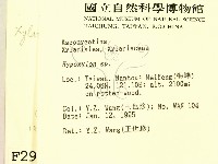 登錄號:F0002919藏品圖，第2張