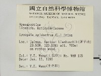 登錄號:F0002920藏品圖，第2張