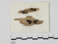 登錄號:F0002920藏品圖，第1張