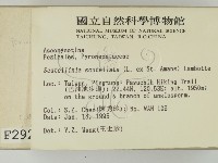 登錄號:F0002924藏品圖，第2張