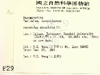 登錄號:F0002928藏品圖，第2張
