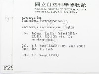 登錄號:F0002929藏品圖，第2張