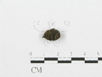 登錄號:F0002929藏品圖，第4張