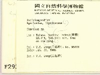 鬼傘屬藏品圖，第2張