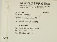 登錄號:F0002934藏品圖，第2張