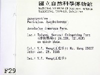 登錄號:F0002935藏品圖，第2張