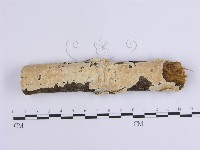 登錄號:F0002937藏品圖，第1張