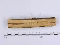 登錄號:F0002937藏品圖，第3張