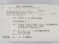 登錄號:F0002940藏品圖，第2張