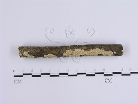 登錄號:F0002940藏品圖，第3張