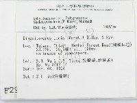 登錄號:F0002942藏品圖，第2張