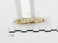 登錄號:F0002942藏品圖，第5張