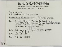 登錄號:F0002944藏品圖，第2張