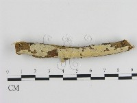 登錄號:F0002944藏品圖，第1張