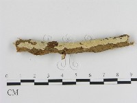 登錄號:F0002944藏品圖，第3張
