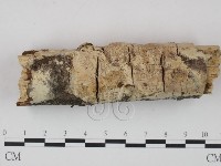 登錄號:F0002946藏品圖，第1張