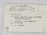 登錄號:F0002947藏品圖，第2張