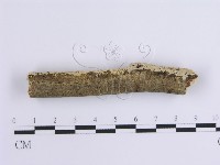 登錄號:F0002947藏品圖，第4張