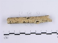 登錄號:F0002947藏品圖，第5張