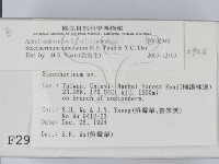 登錄號:F0002948藏品圖，第2張