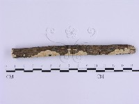 登錄號:F0002948藏品圖，第1張