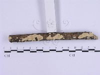 登錄號:F0002948藏品圖，第3張