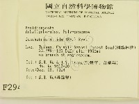 登錄號:F0002949藏品圖，第2張