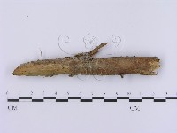 登錄號:F0002951藏品圖，第4張