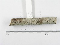登錄號:F0002953藏品圖，第3張
