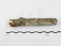 登錄號:F0002953藏品圖，第4張