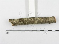 登錄號:F0002953藏品圖，第5張