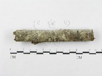 登錄號:F0002953藏品圖，第6張