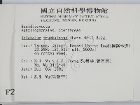 登錄號:F0002954藏品圖，第2張