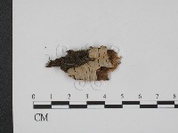 登錄號:F0002954藏品圖，第1張