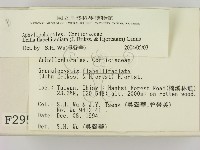 登錄號:F0002955藏品圖，第2張