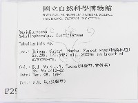 登錄號:F0002956藏品圖，第2張