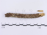 登錄號:F0002956藏品圖，第3張