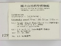 登錄號:F0002958藏品圖，第2張