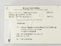 登錄號:F0002961藏品圖，第2張