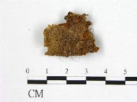 登錄號:F0002961藏品圖，第1張