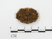 登錄號:F0002961藏品圖，第4張