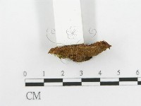 登錄號:F0002961藏品圖，第5張