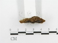 登錄號:F0002961藏品圖，第6張