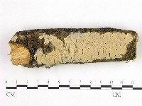 登錄號:F0002962藏品圖，第1張