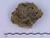 登錄號:F0002964藏品圖，第1張