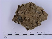 登錄號:F0002964藏品圖，第3張