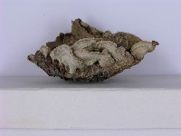 登錄號:F0002964藏品圖，第4張