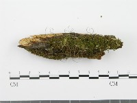 登錄號:F0002965藏品圖，第1張