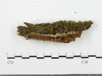 登錄號:F0002965藏品圖，第3張