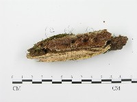 登錄號:F0002965藏品圖，第4張